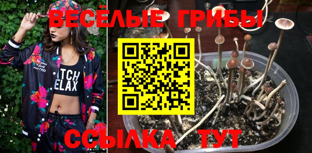 Галлюциногенные грибы Magic Shrooms  Вход с VPN  купить наркоту  Заволжье 